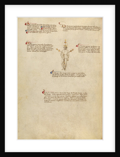 Aiming Points on the Body by Fiore Furlan dei Liberi da Premariacco