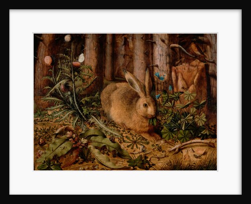 A Hare in the Forest by Hans Hoffmann