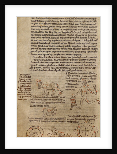 Constellation Diagrams by Anonymous