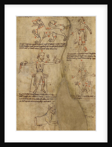 Constellation Diagrams by Anonymous
