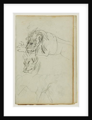 Three lion studies by Théodore Géricault