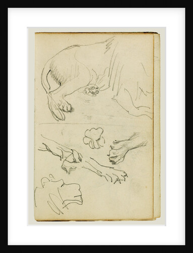 Various studies of lion leg, paws and head by Théodore Géricault