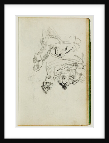 Two lion studies by Théodore Géricault