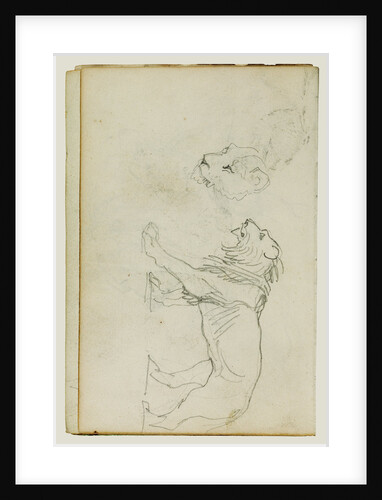 Lion walking, head of a lioness by Théodore Géricault