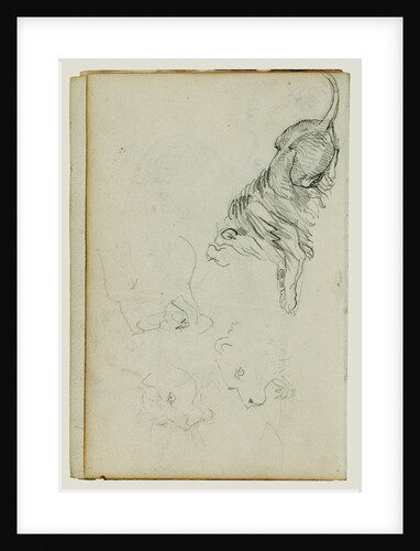 Four lion studies by Théodore Géricault