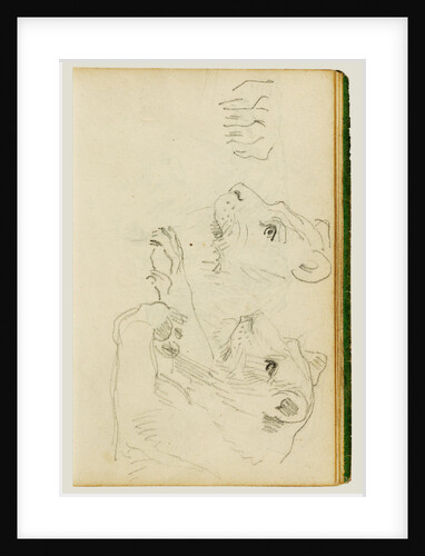 Studies of the head and forelegs of a lioness by Théodore Géricault