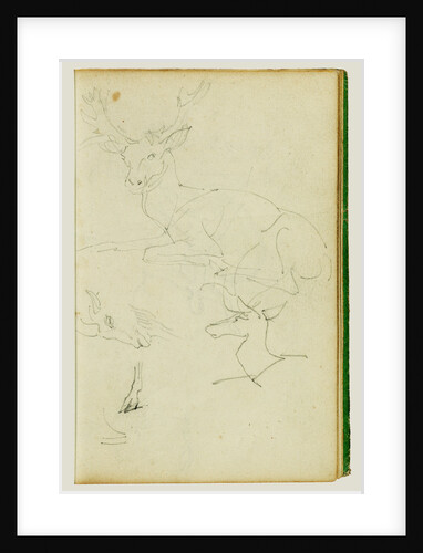 Studies of a seated stag, a fawn, a goat head by Théodore Géricault