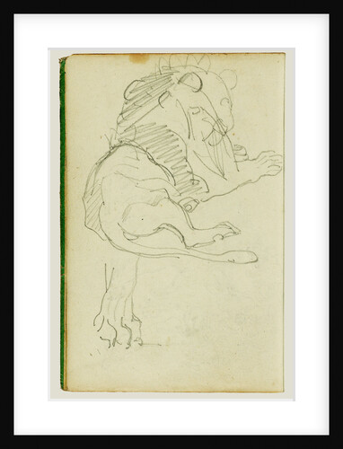 Seated lion by Théodore Géricault