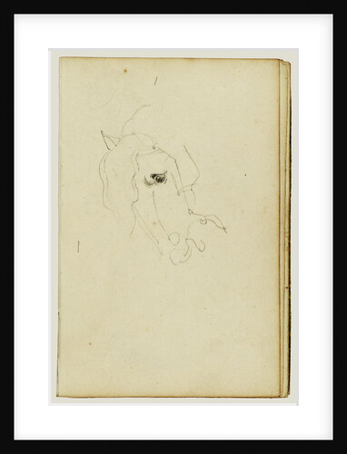 Horse head by Théodore Géricault
