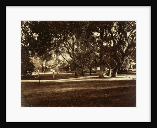Thurlow Lodge - Lawn View by Carleton Watkins