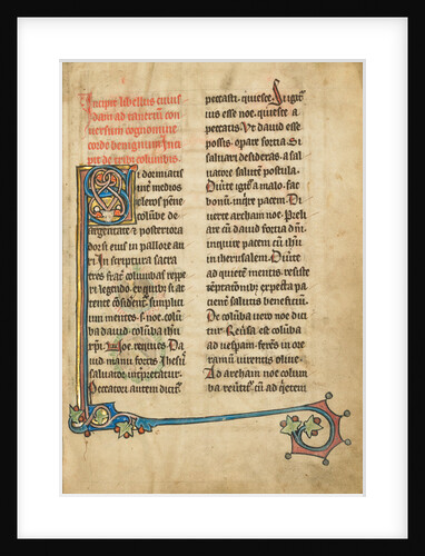 Decorated Initial S by Anonymous