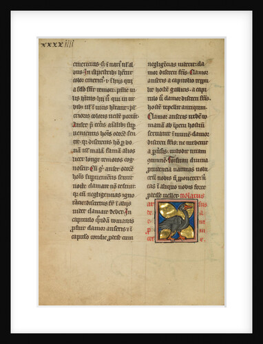 A Heron by Anonymous