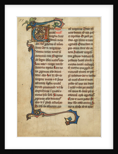 Decorated Initial V by Anonymous