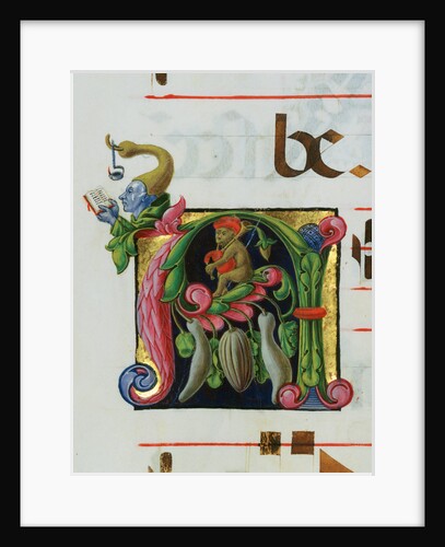 Inhabited Initial A by Anonymous