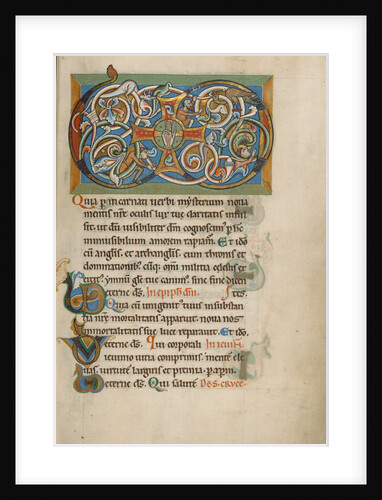 Inhabited VD Monogram by Anonymous