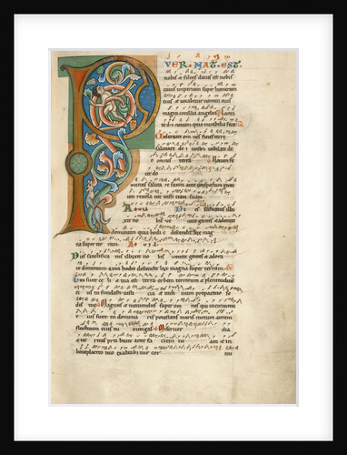 Inhabited Initial P by Anonymous