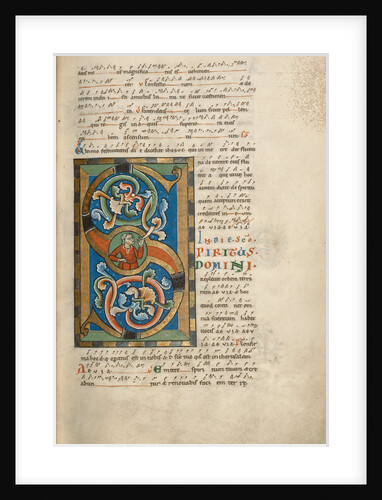 Inhabited Initial S by Anonymous