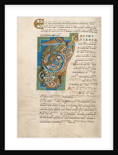 Decorated Initial T by Anonymous
