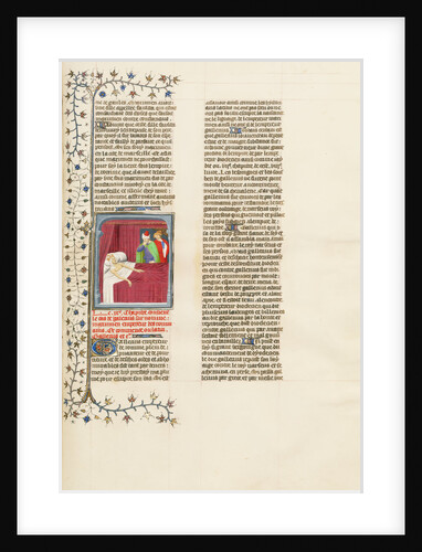 The Putrefaction of the Flesh of the Dying Emperor Galerius by Anonymous