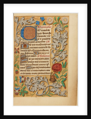 Decorated Initial C by Anonymous