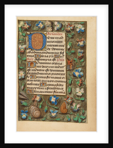 Decorated Initial D by Anonymous