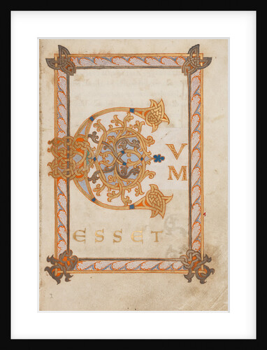 Decorated Initial C by Anonymous