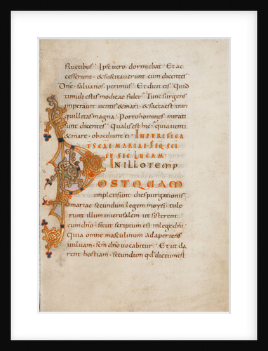 Decorated Initial P by Anonymous