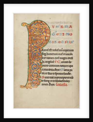 Inhabited Initial P by Anonymous