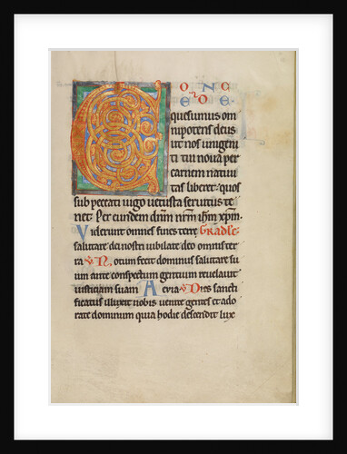 Decorated Initial C by Anonymous