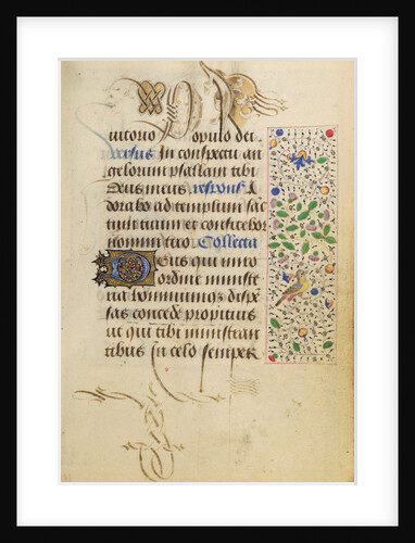 Decorated Text Page by Nicolas Spierinc