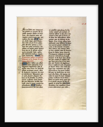 Decorated Text Page by Anonymous