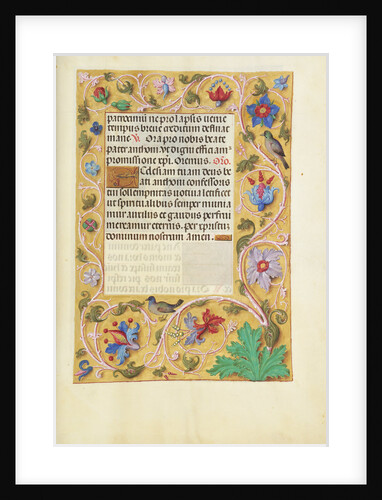 Decorated Text Page by Anonymous