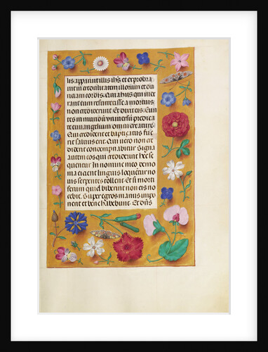 Decorated Text Page by Anonymous