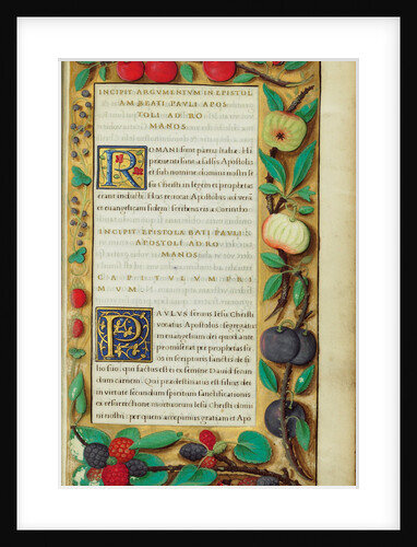 Decorated Text Page by Anonymous
