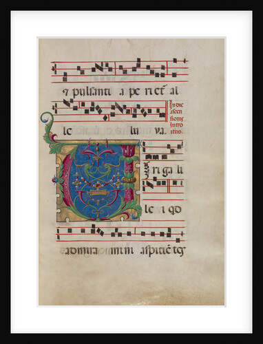 Decorated Initial V by Anonymous