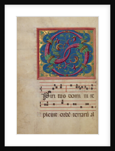 Decorated Initial S by Anonymous