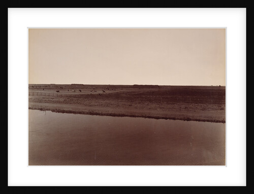View on the Calloway Canal, Near Poso Creek, Kern County by Carleton Watkins