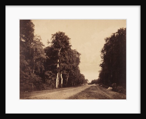 Route de Chailly, Fontainebleau by Gustave Le Gray