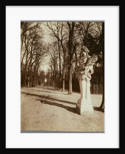 Versailles-Parc (The Park, Versailles) by Eugène Atget