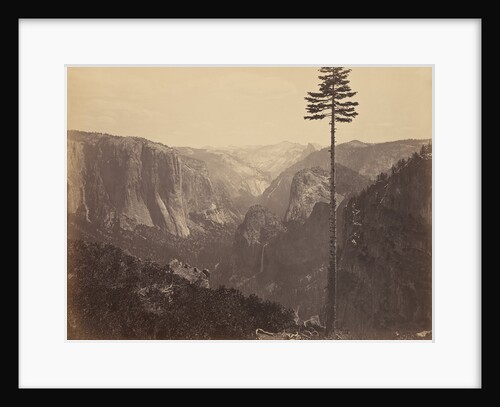 Yosemite Valley from the Best General View by Carleton Watkins
