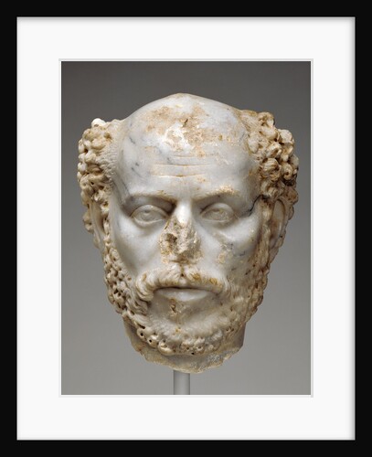 Portrait Head of a Balding Man by Anonymous