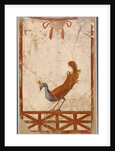 Wall Fragment with a Peacock by Anonymous