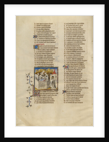 The Lover Views the Garden by Anonymous