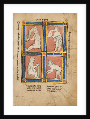 Cinomologus, Anthropophagus, Himantopode, Artabatite by Anonymous