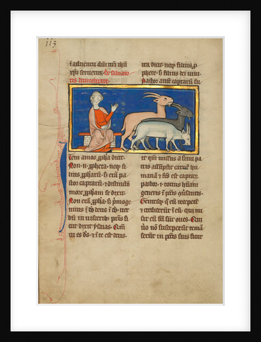 Amos and Three Goats by Anonymous