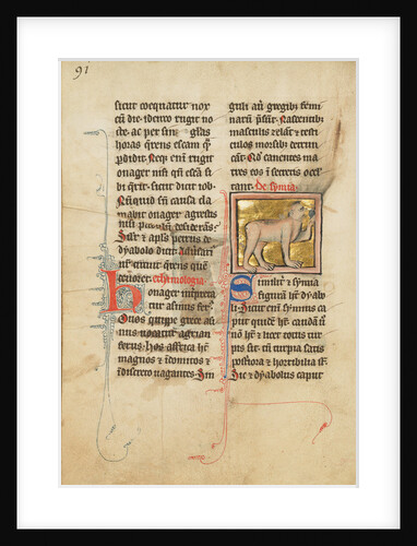 A Monkey by Anonymous