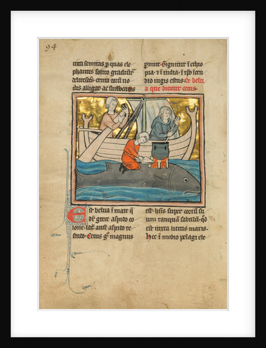 A Fisherman on the Back of a Whale by Anonymous