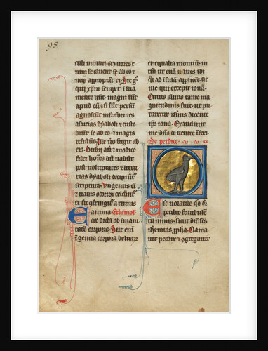 A Partridge by Anonymous