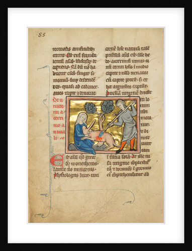 A Unicorn with its Head in the Lap of a Maiden by Anonymous