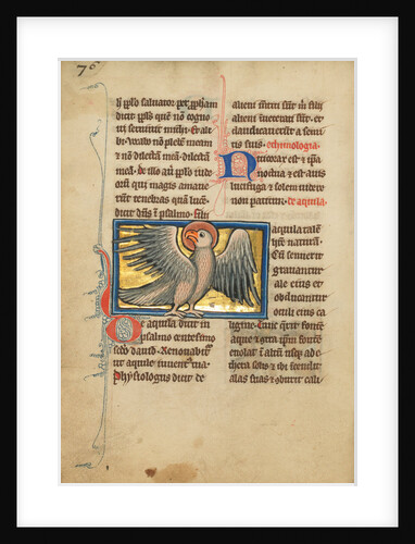 An Eagle by Anonymous